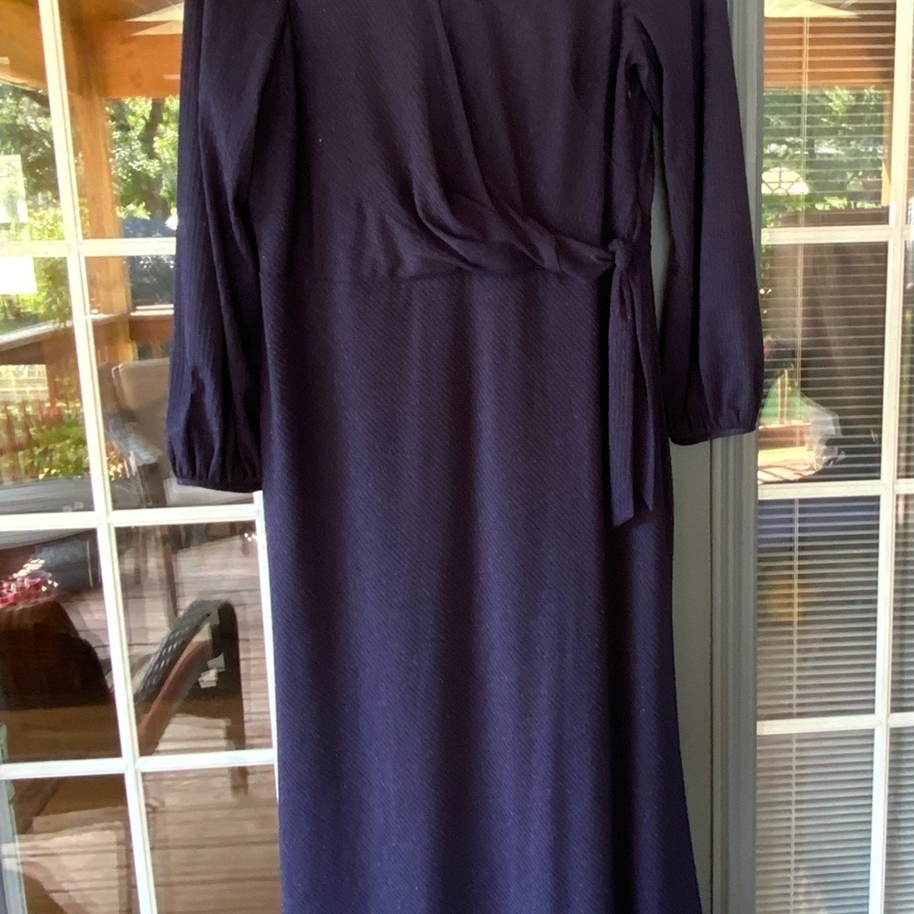 Ralph Lauren Deep Purple Long Sleeve Dress